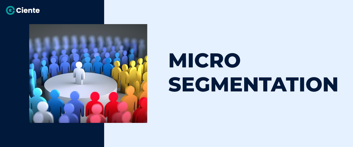 Micro-segmentación – Ciente