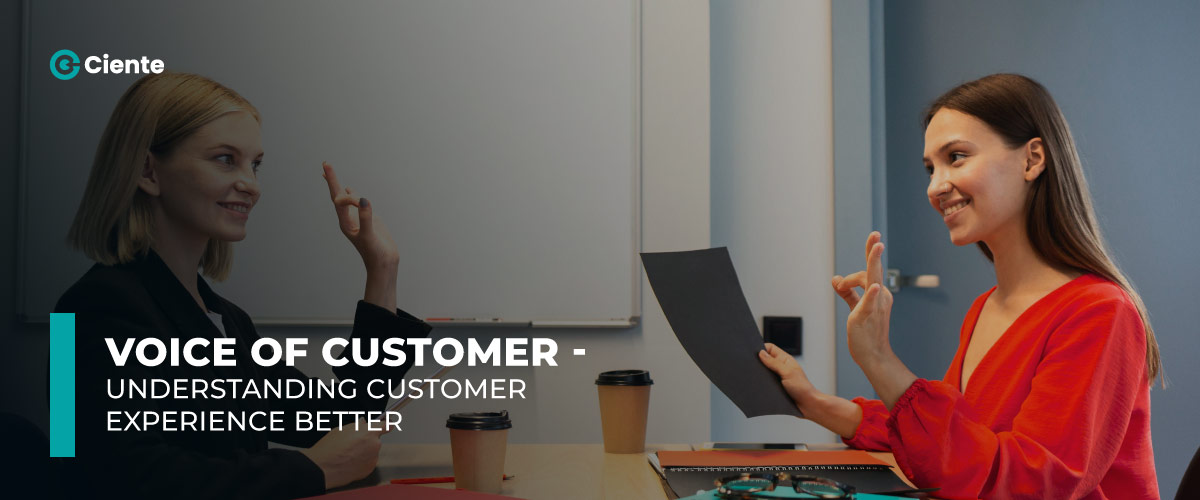 Voice of Customer - Understanding Customer Experience Better