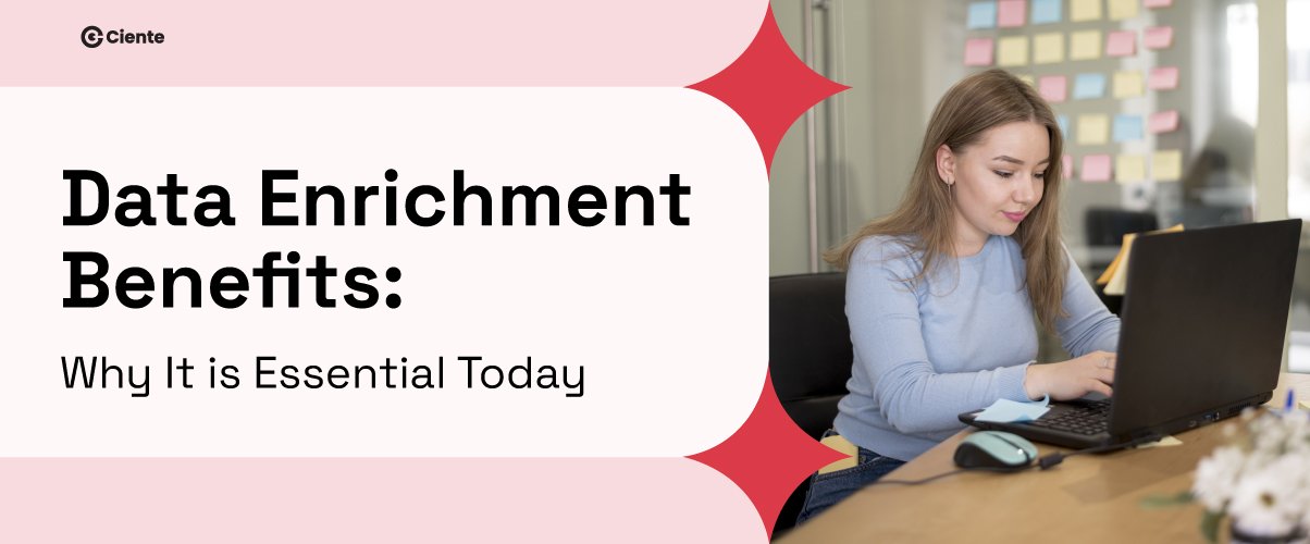 Data Enrichment Benefits