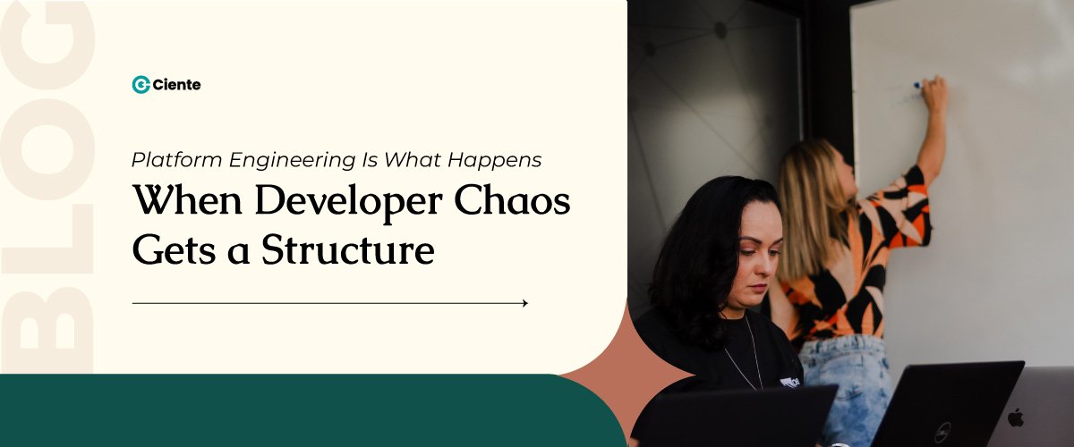 Platform Engineering Is What Happens When Developer Chaos Gets A Structure Platform Engineering Is What Happens When Developer Chaos Gets A Structure