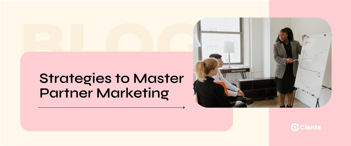 partner marketing strategy