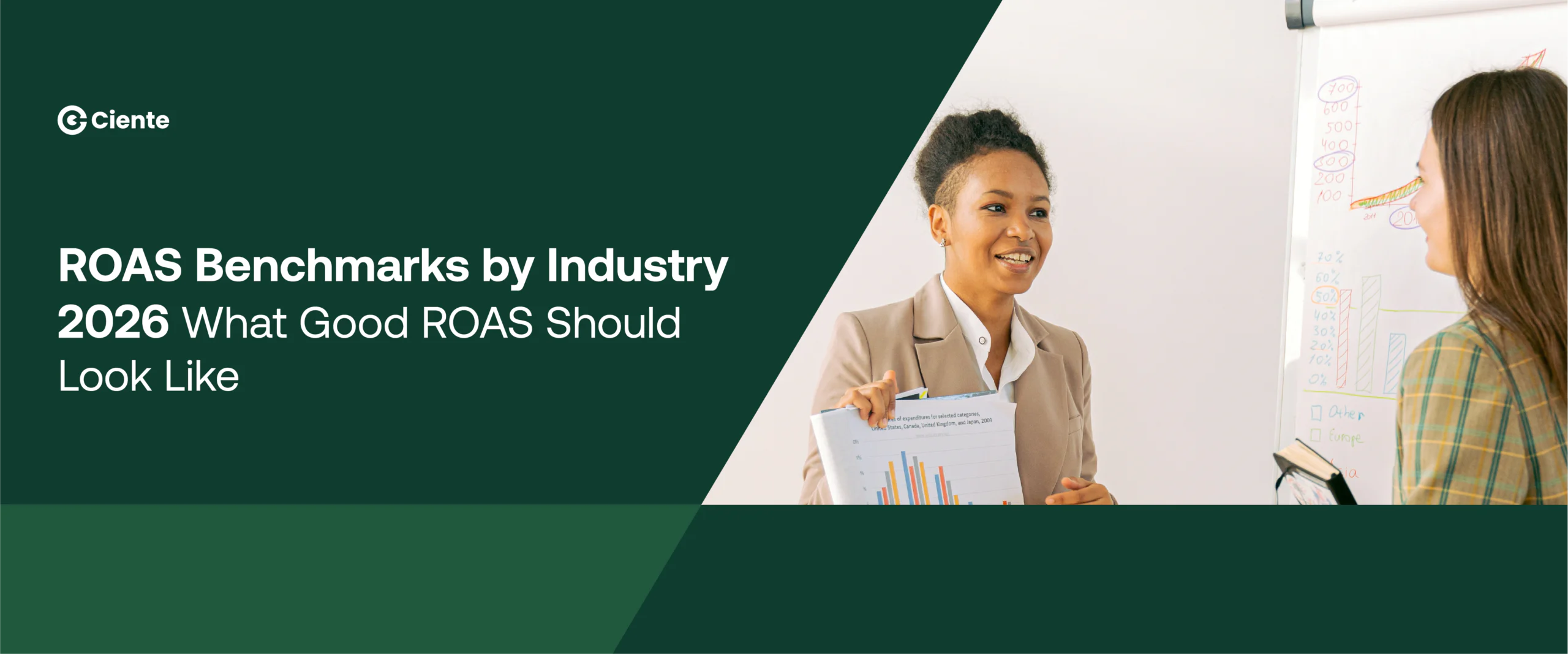 ROAS Benchmarks