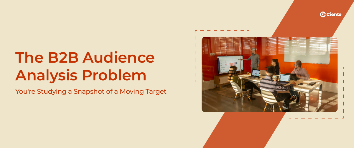 B2B Audience Analysis