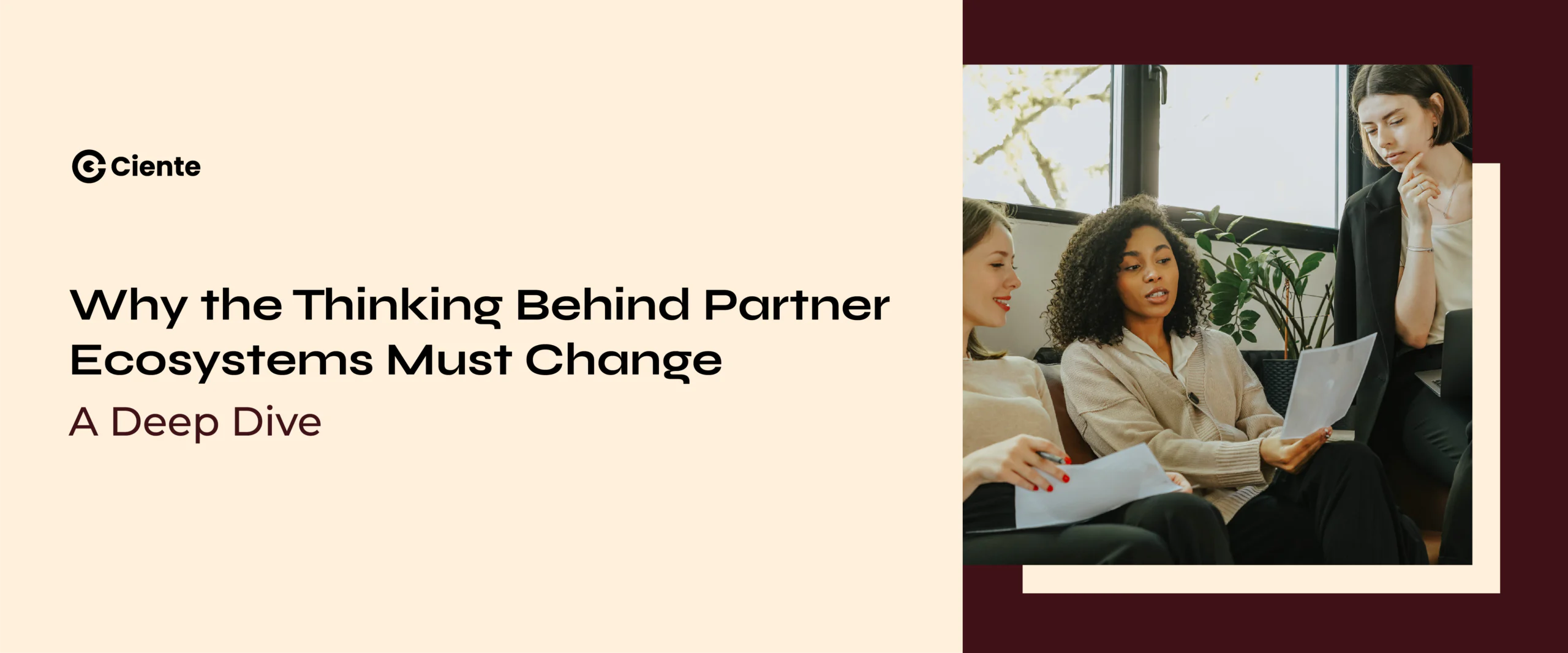 Partner Ecosystems