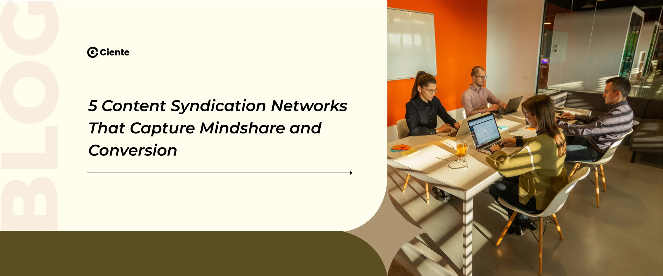 Content Syndication Networks