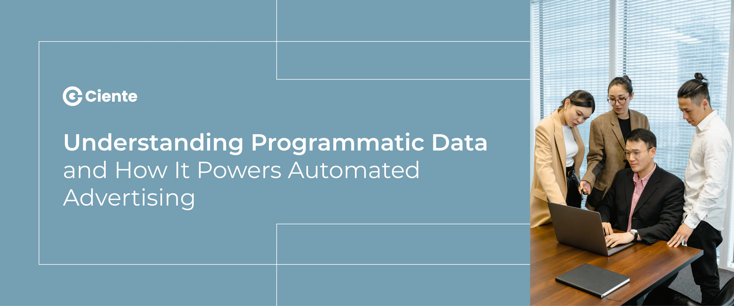 rogrammatic Data