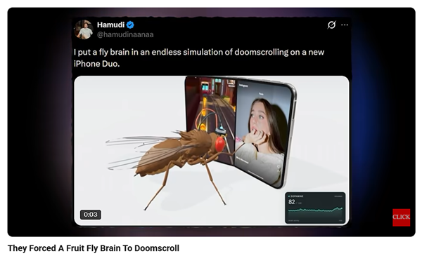 image 11 The AI Apocalypse and why Google Mapped a Fruit Fly's Brain image 11