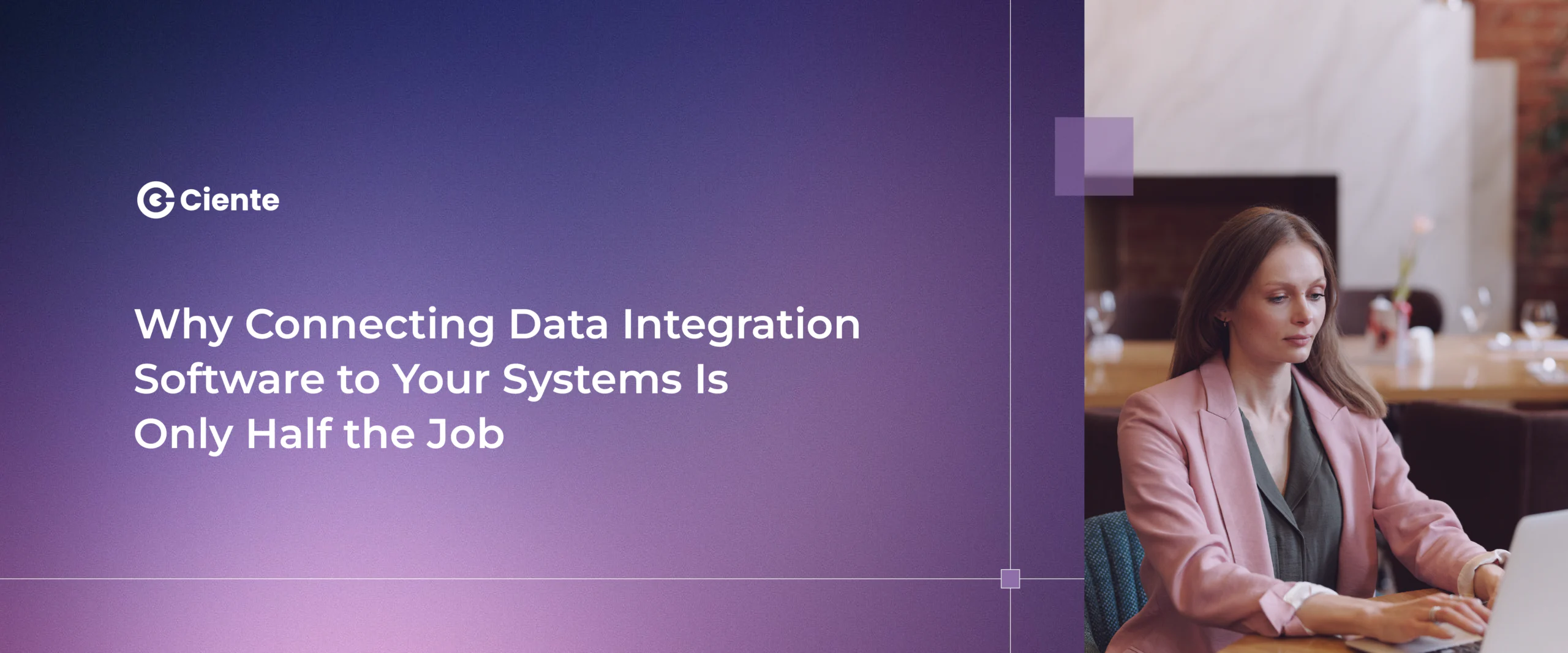 Data integration software